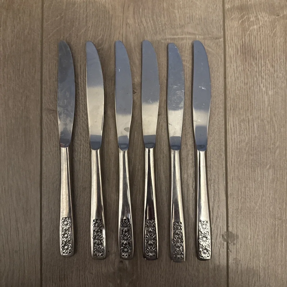 6 Suncrest Spring Charm Custom Stainless Flatware IS Rogers‎ Dinner Knives Set